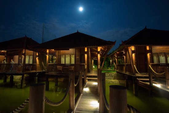 Cottage Wisata Paiton